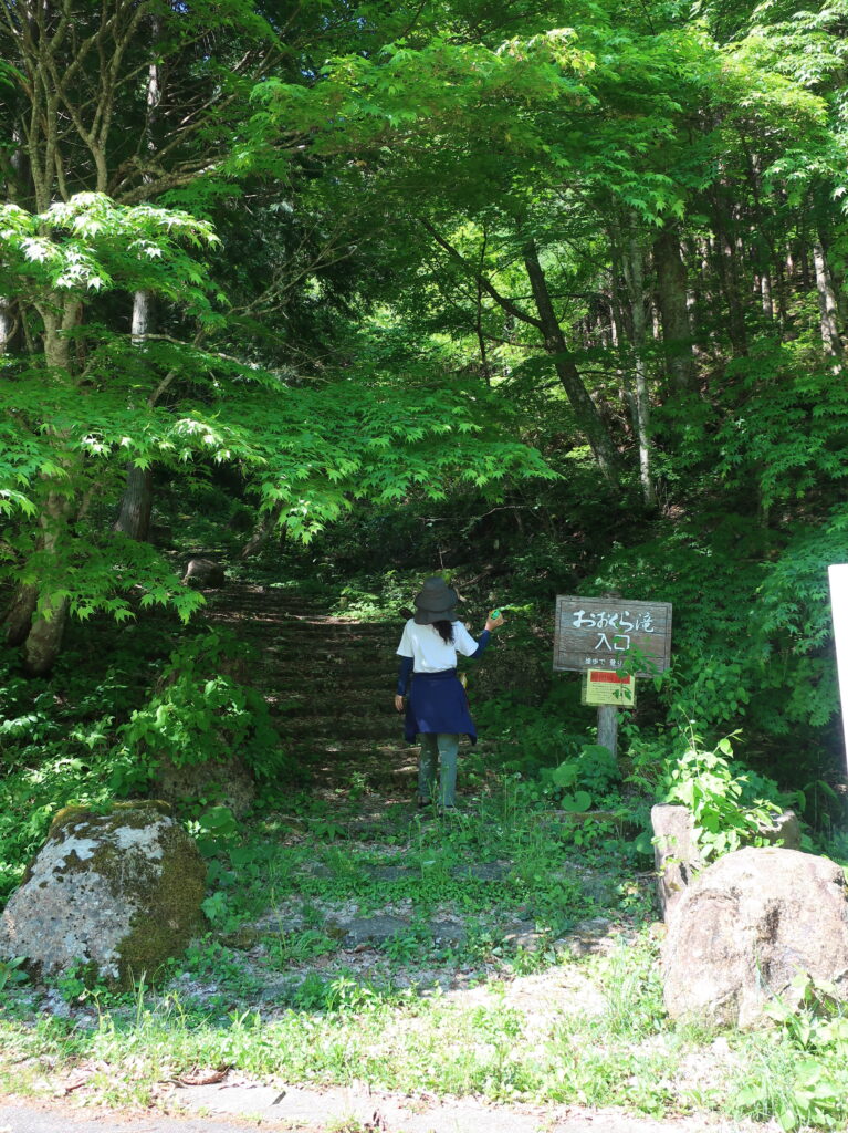 百滝コース入口